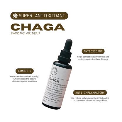 Chaga 50ml